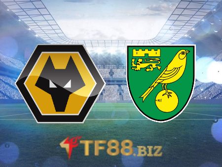 Soi kèo nhà cái, tỷ lệ kèo bóng đá: Wolves vs Norwich – 22h00 – 05/02/2022