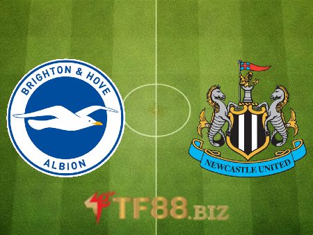 Soi kèo nhà cái, tỷ lệ kèo bóng đá: Brighton vs Newcastle – 21h00 – 13/08/2022