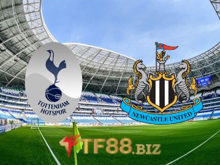 Soi kèo nhà cái, tỷ lệ kèo bóng đá: Tottenham vs Newcastle – 22h30 – 23/10/2022