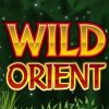 Tìm hiểu cách chơi Wild Orient Slot Game tại nhà cái