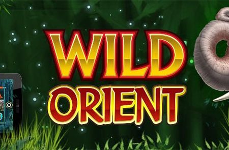 Tìm hiểu cách chơi Wild Orient Slot Game tại nhà cái