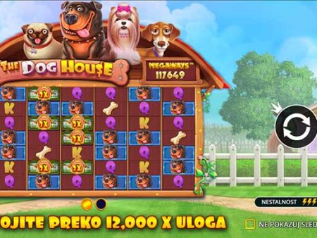 Cùng khám phá các tính năng tại slot The dog House