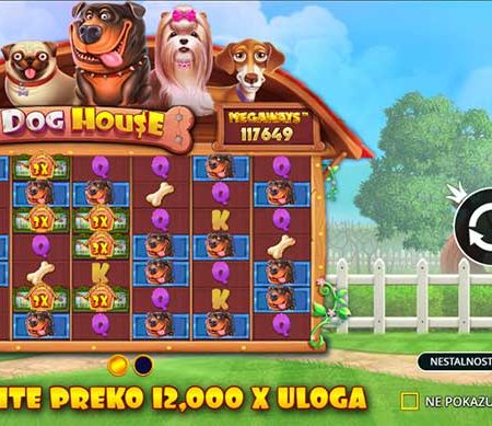 Cùng khám phá các tính năng tại slot The dog House
